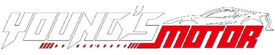 株式会社Young’sモーター